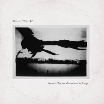 ALLIANCE Takaakira Taka Goto - Classical Punk & Echoes Under Beauty Vinyl LP