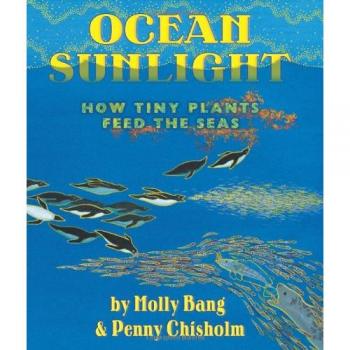 Ocean Sunlight: How Tiny Plants Feed the Seas