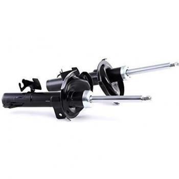 RIDEX 854S1984 Amortiguador, Set de 2