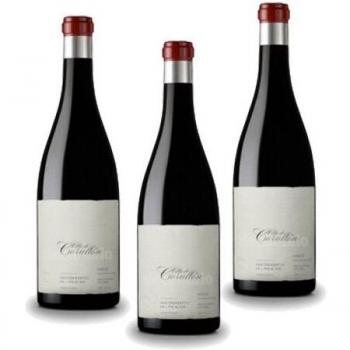 Villa de Corullon - Vino Tinto - 3 Botellas