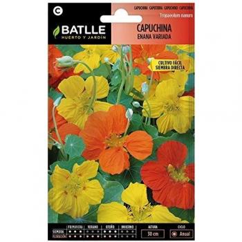 Semillas de Flores - Capuchina enana variada - Batlle