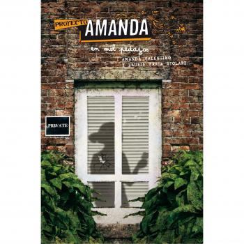 Proyecto Amanda: En mil pedazos: 3