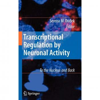 Neuronal Activity-Driven Transcription Regulation: Insights into Nuclear Dynamics