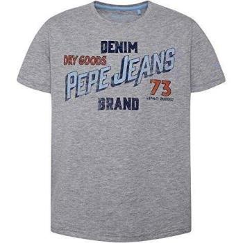 Pepe Jeans Andrew – Camisetas y polos de Garcons, color gris gris 18 años