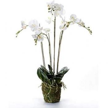 Emerald Orquídea y Musgo 90 cm Planta Flor Hierba Árbol Artificial Decoración