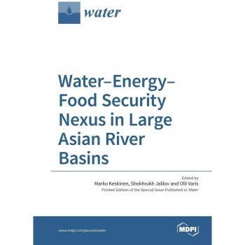 Nexo de Seguridad Hídrica, Energética y Alimentaria en Grandes Cuencas Fluviales Asiáticas