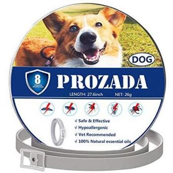 PROZADA Natural Collar Antiparasitario para Perros