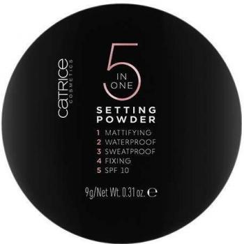 Catrice 5 in 1 Transparent Matte Loose Setting Powder