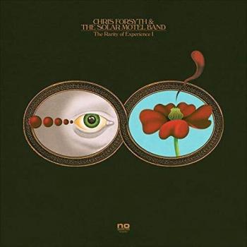 The Rarity Of Experience [Vinyl Record]