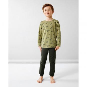Pijama de niño de 2 piezas color salvia con diseño de dinosaurios y manga larga