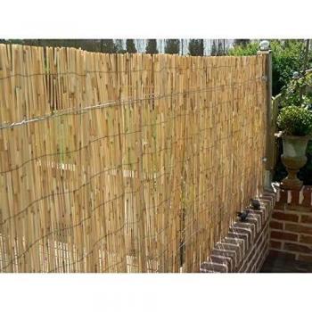 Pantalla de caña natural pelada - 5 x 1 m - Ligera y duradera