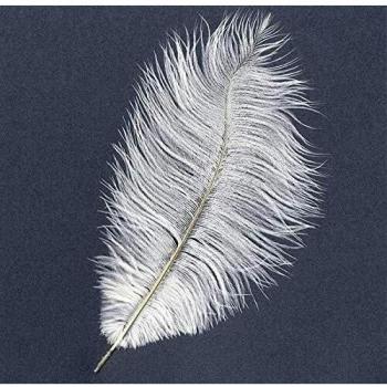 Artemio 13030094 - Pluma de Avestruz, Color Blanco, 12 x 0,5 x 40 cm