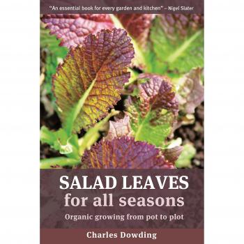 Salad Leaves for All Seasons: Organic Growing from Pot to Plot