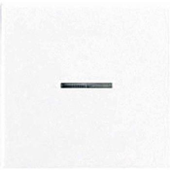 Tecla Simple Visor Interruptor Pulsador A500 Blanco Alpino JUNG