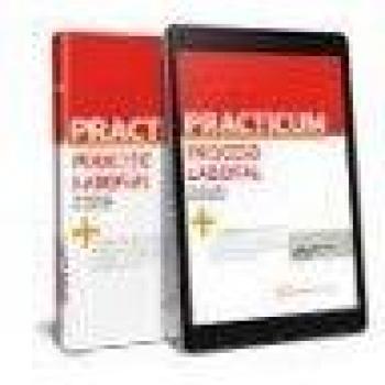 Practicum Proceso Laboral 2020
