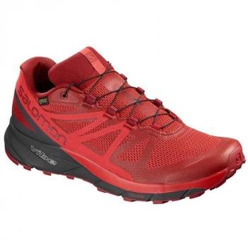 Salomon Chaussures Sense Ride GTX Invisible Fit
