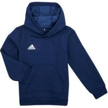 Sudadera de fútbol adidas Ent22 Hoody Y