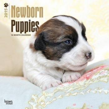 Newborn Puppies 2015 Wall