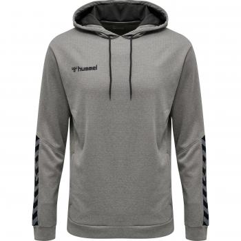 Hummel hmlAUTHENTIC Poly Hooded Sweatshirt