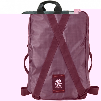 Crumpler Mochila de a diario LDBP-010 Gris 19.963125 liters