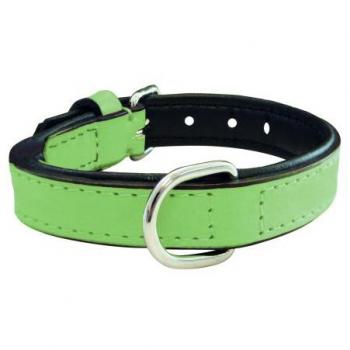 Collar para Perro Acolchado Verde 50 x 2,5 cm
