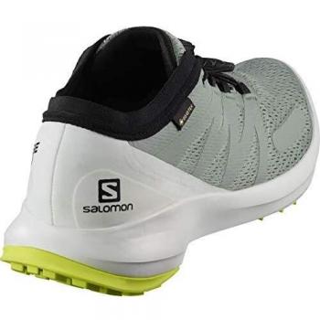 SALOMON Shoes Sense Flow GTX, Zapatillas de Running Hombre, Multicolor