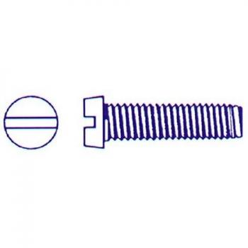 Gfd - Tornillo cilindrico con ranura/s din84 6x50mm zinc/ado blanco