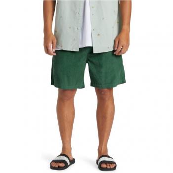 Quiksilver Pantalones Cortos Taxer Cord Verde