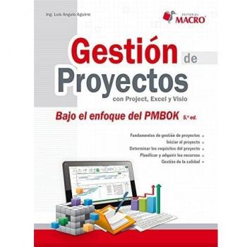 Gestión de Proyectos con Project, Excel y Visio 5 Edicion