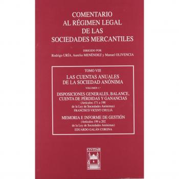 Las Cuentas Anuales de la Sociedad Anónima. Tomo VIII volumen 1º