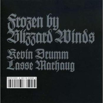 Frozen By Blizzard Winds