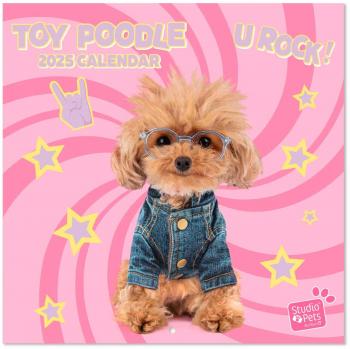 Calendario 2025 30x30 Studio Pets Poodle Erik Amarillo