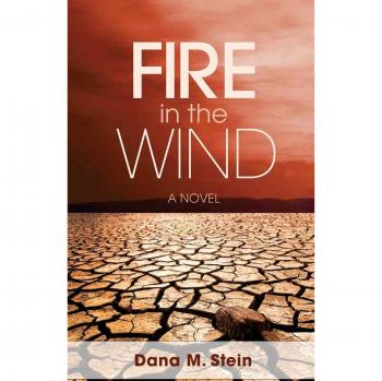 Fuego en el Viento - Novela de Dana Stein