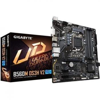 Placa Base Intel B560 Express LGA Gigabyte B560M DS3H V2 Socket 1200 Micro ATX con 4DDR4 SATA DVI HDMI DP M2 USB-C LAN