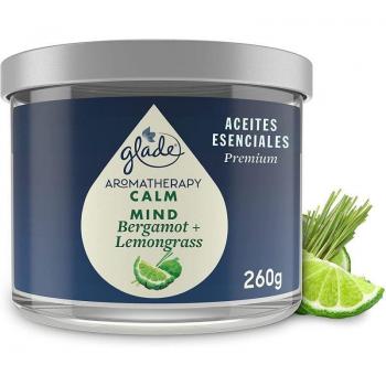 GLADE - Ambientador en aerosol con fragancia fresca, 300 ml, elimina olores y proporciona una larga duración