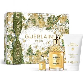 Guerlain Aqua Allegoria Forte Mandarine Basilic Edp Estuche 75 ml Eau de Parfum