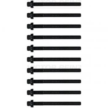 Juego de tornillos de culata REINZ 14-32342-01