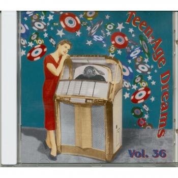 Teenage Dreams Volume 36: Various Artists Compilation CD (30 Tracks)