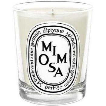 Diptyque Mimosa Scented Candle 190g