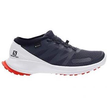 SALOMON Shoes Sense Flow GTX, Zapatillas de Running Hombre, Multicolor