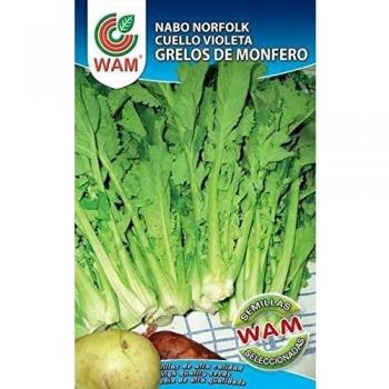 Nabo Norfolk cuello violeta Grelos de monfero 250 Gr Wan