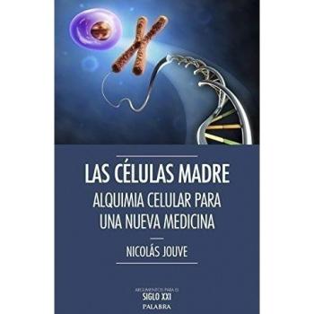 Las células madre