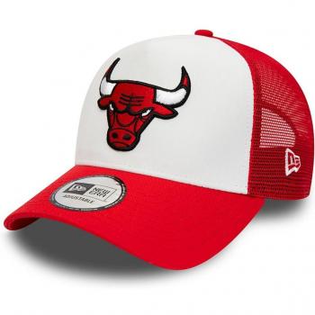 Gorra New Era Chicago Bulls Team Colour Block Trucker