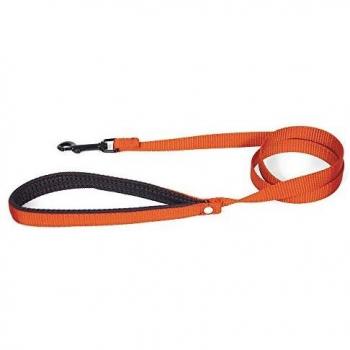 Correa para perro Confort Clásica de Nylon Martin Sellier S con Collar incluido