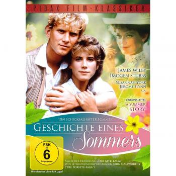 Geschichte eines Sommers