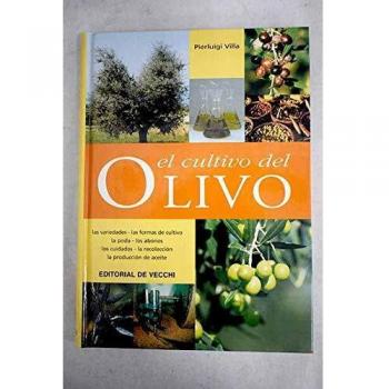 Cultivo del Olivo, el