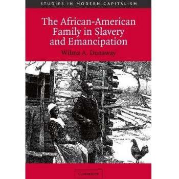 the-african-american-family-in-slavery-and-emancipation