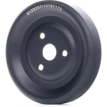 Polea de bomba de agua RIDEX 3345P0003 para OPEL, BMW y PEUGEOT