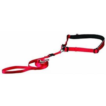 Waist Belt with Lead for Small and Medium-Sized Dogs