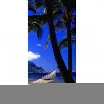PeelitStickit id-0378 60 x 130 cm, altura hermosa naturaleza Mural de pared de vinilo de alta calidad
